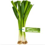 Spring Onions