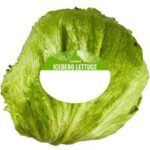 Iceberg Lettuce